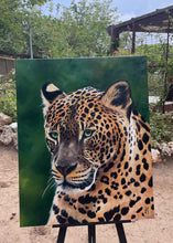 Cargar imagen en el visor de la galería, Leopardo