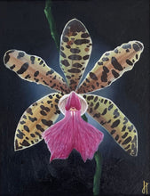 Load image into Gallery viewer, Cattleya
