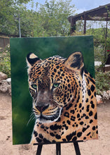 Cargar imagen en el visor de la galería, Leopardo
