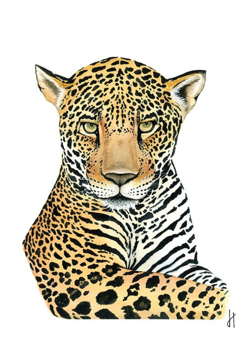 lámina decoración Leopardo